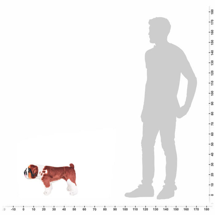 Stående lekehund bulldog hvit og brun XXL