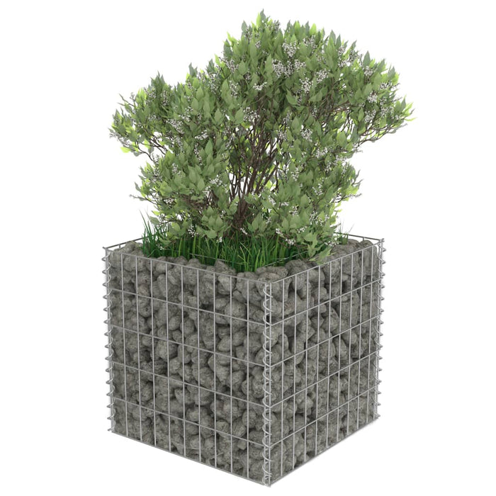 Gabion høybed galvanisert stål 50x50x50 cm