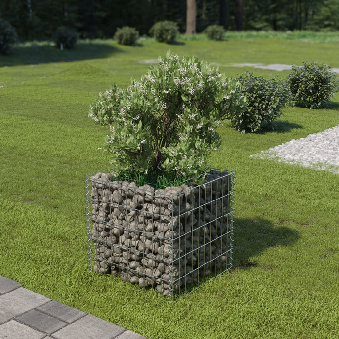 Gabion høybed galvanisert stål 50x50x50 cm