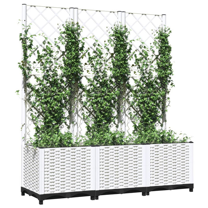 Plantekasse med espalier hvit 120x40x136 cm PP