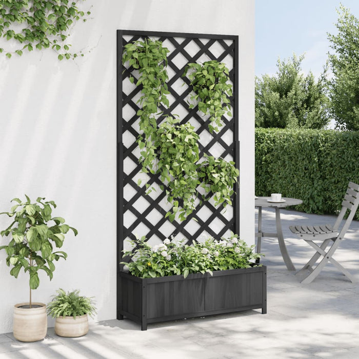 Plantekasse med espalier svart heltre gran