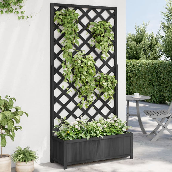 Plantekasse med espalier svart heltre gran