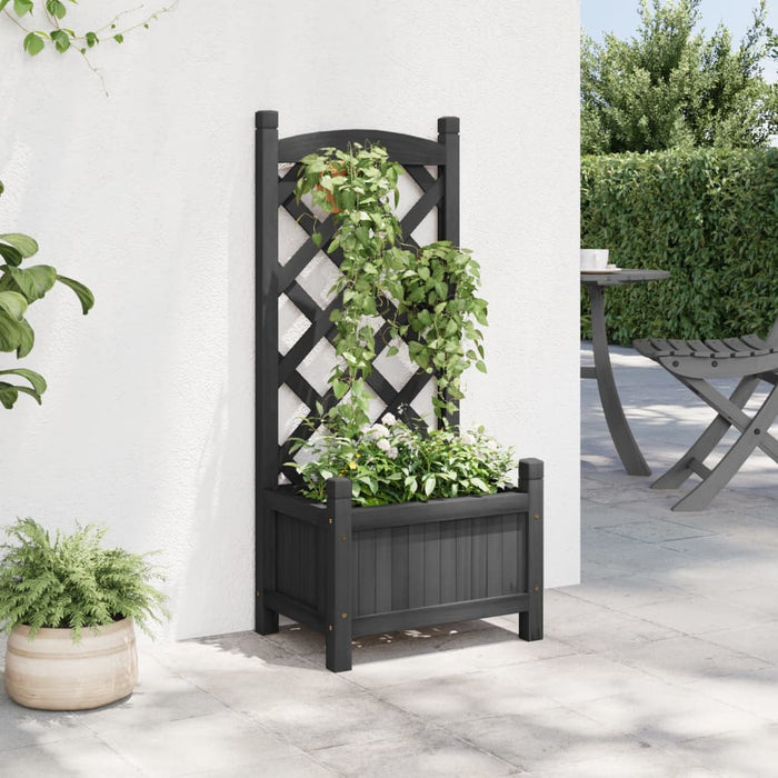 Plantekasse med espalier svart heltre gran