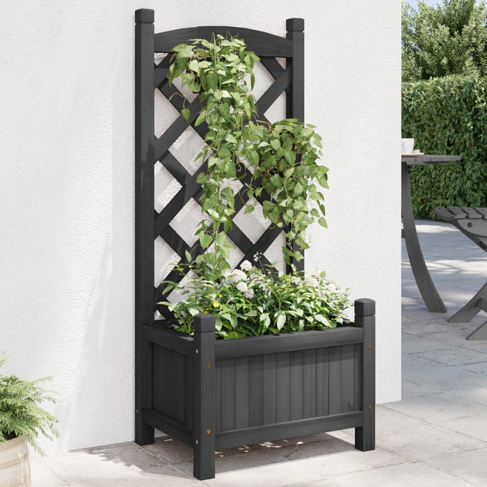 Plantekasse med espalier svart heltre gran