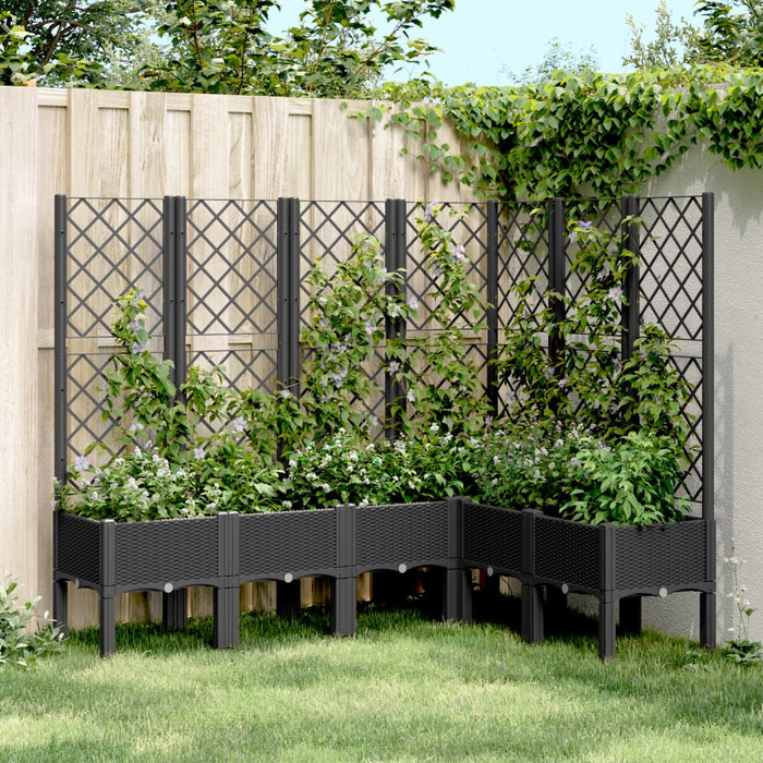 Plantekasse med espalier svart 160x120x142 cm PP