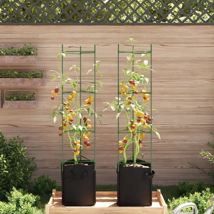 Tomatbur med plantepose 2 stk 154 cm stål og PP