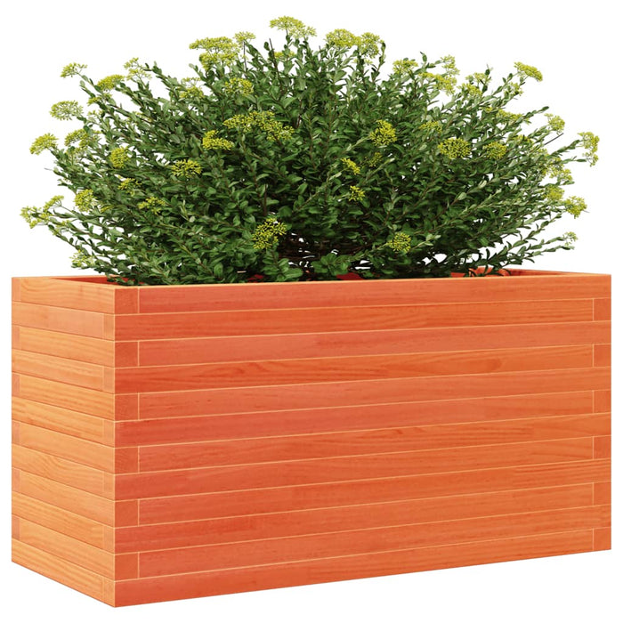 Plantekasse voksbrun 90x40x46 cm heltre furu