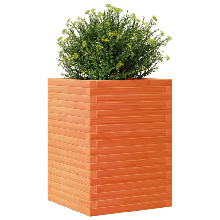 Plantekasse voksbrun 50x50x68,5 cm heltre furu