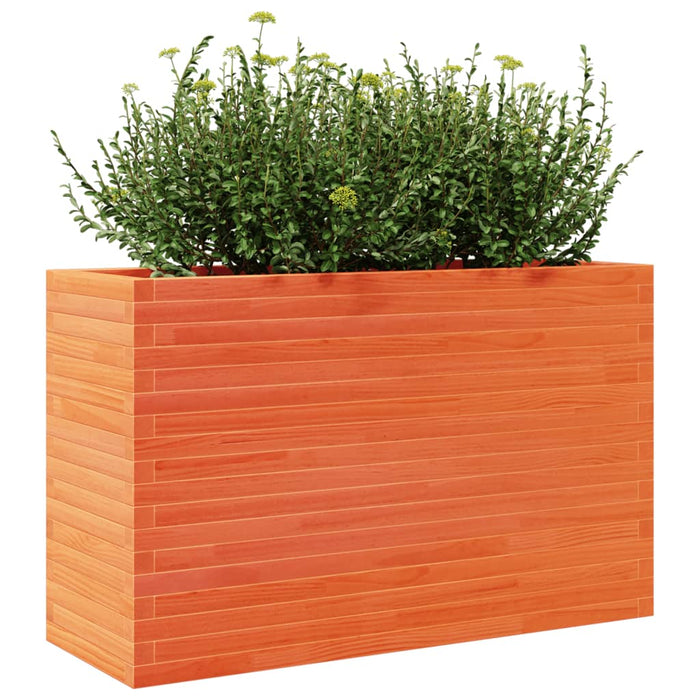 Plantekasse voksbrun 110x40x68,5 cm heltre furu