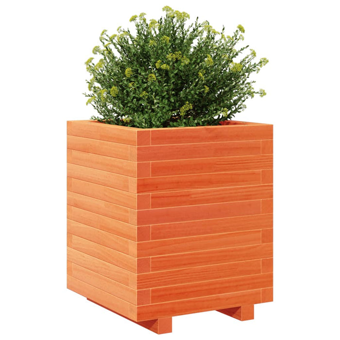 Plantekasse voksbrun 40x40x49,5 cm heltre furu