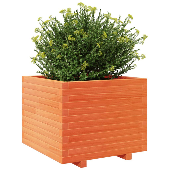 Plantekasse voksbrun 60x60x49,5 cm heltre furu