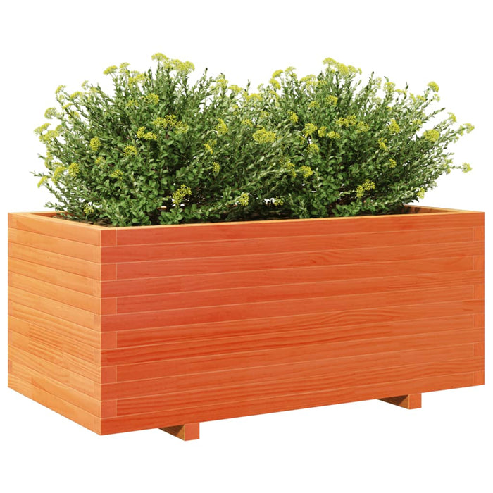 Plantekasse voksbrun 110x60x49,5 cm heltre furu