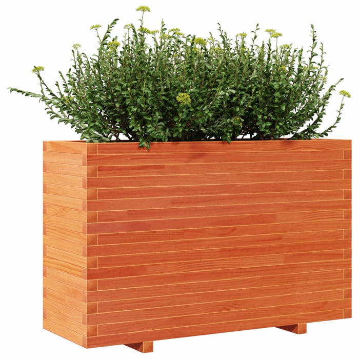 Plantekasse voksbrun 110x40x72 cm heltre furu