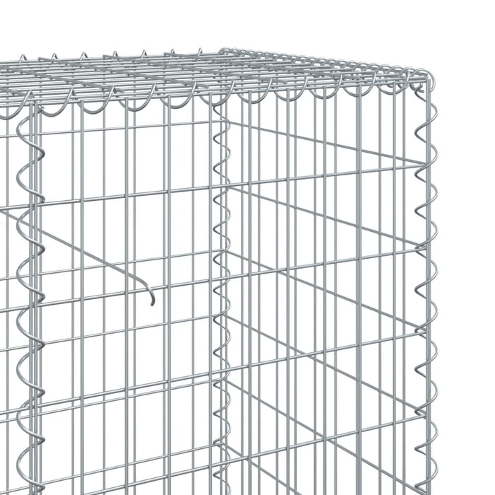 Gabionkurv med deksel 100x50x100 cm galvanisert jern