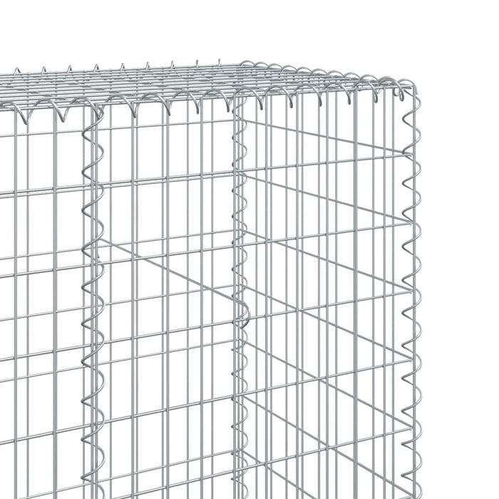 Gabionkurv med deksel 100x50x200 cm galvanisert jern