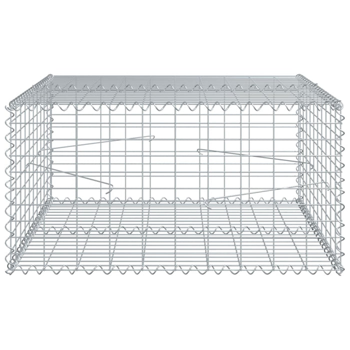 Gabionkurv med deksel 100x100x50 cm galvanisert jern