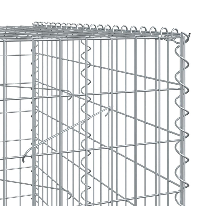 Gabionkurv med deksel 100x100x200 cm galvanisert jern