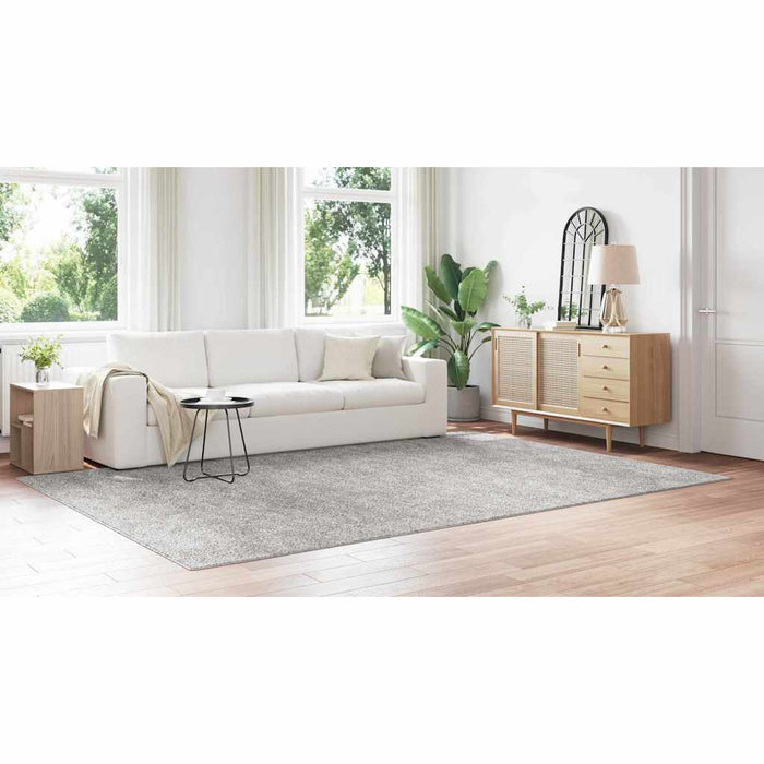 Shaggy Teppet med Latexbakgrunn Grå 240x340 cm