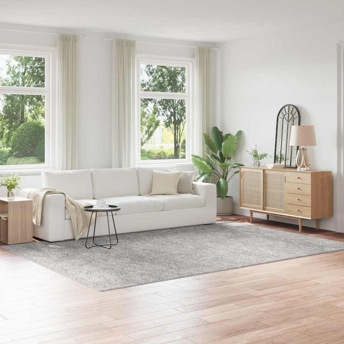 Shaggy Teppet med Latexbakgrunn Grå 240x340 cm