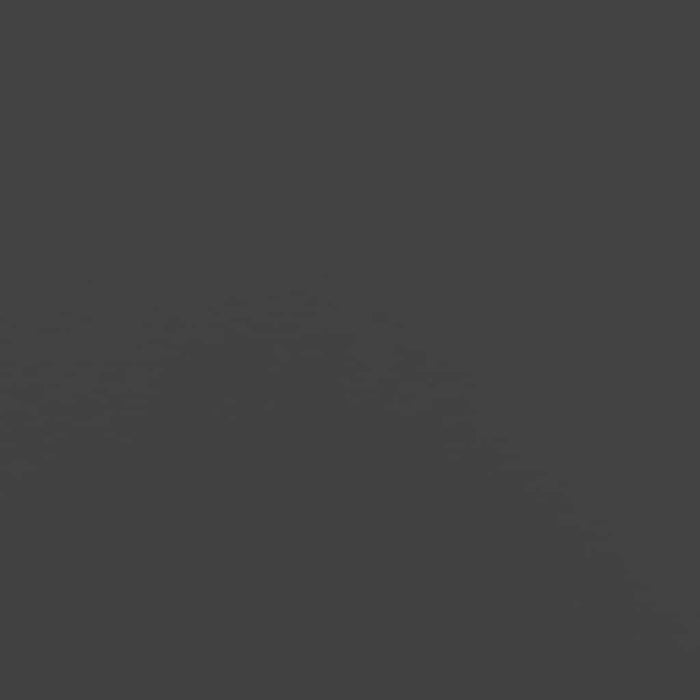 Plantekasse svart 200x40x80 cm kaldvalset stål