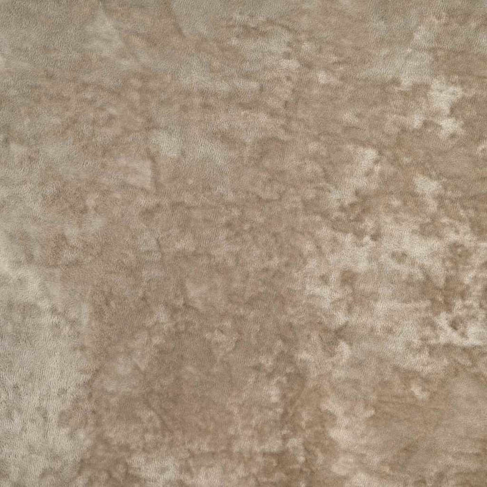 Fløyelsgardiner 2 stk med øyer Champagne 260x140 cm