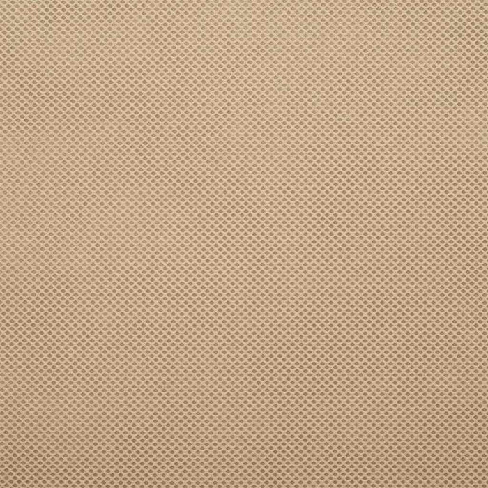Frostbeskyttelse Plante Fleece Beige 100 x 1,6 m Uvevd Stoff